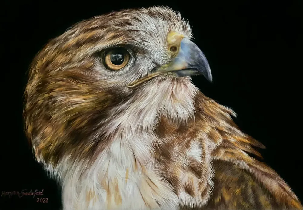 A Moment of Vigilance — Birds by Maryam Fardinfard