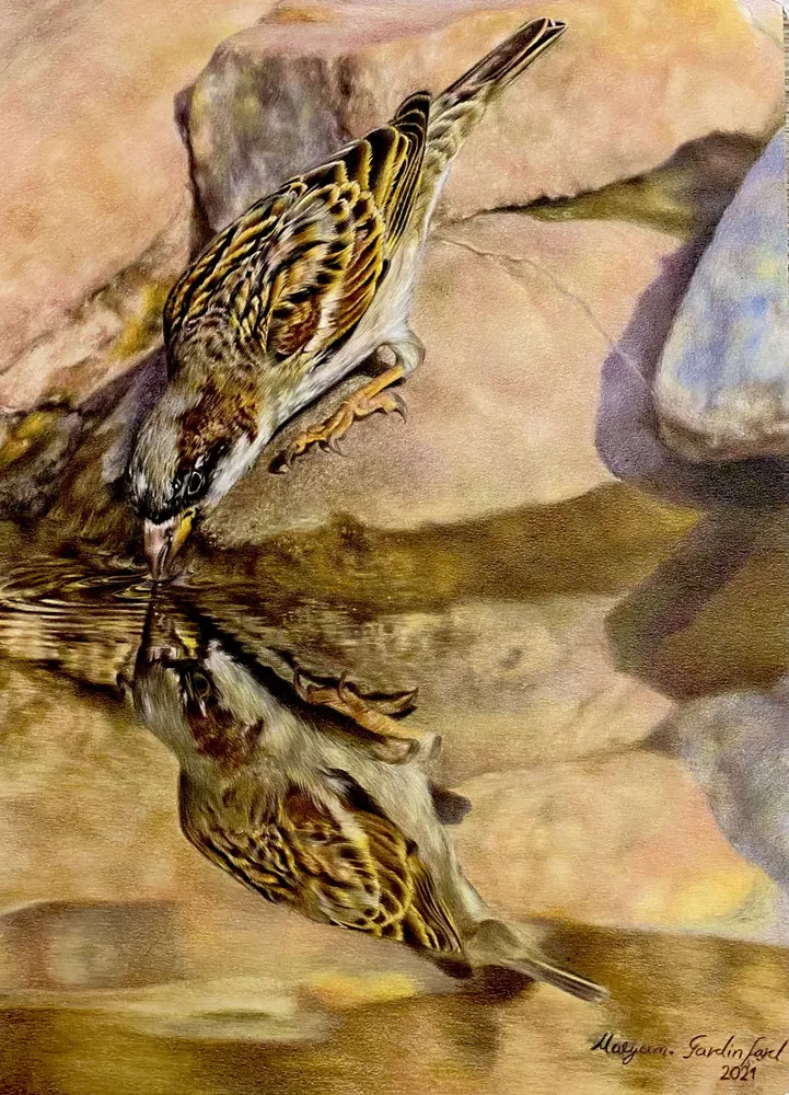 Reflections of Purity — Birds by Maryam Fardinfard