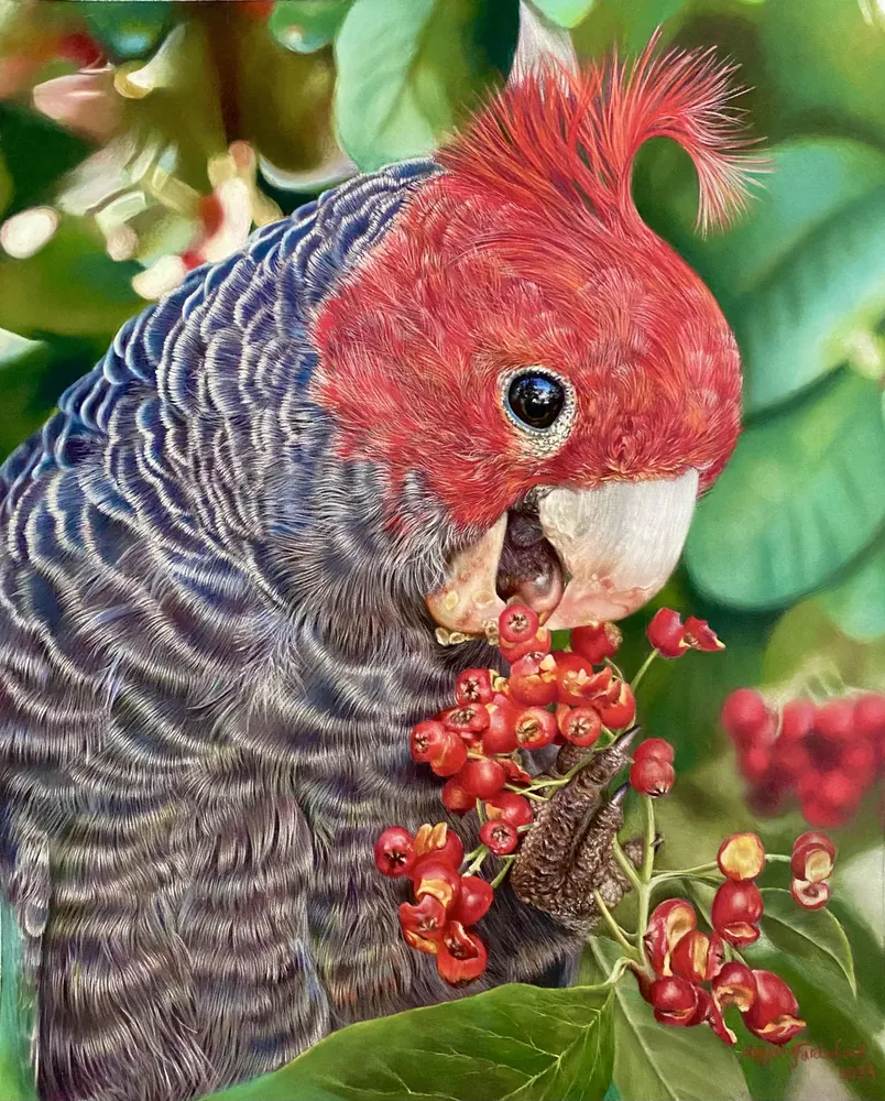 A Taste of Nature — Birds by Maryam Fardinfard