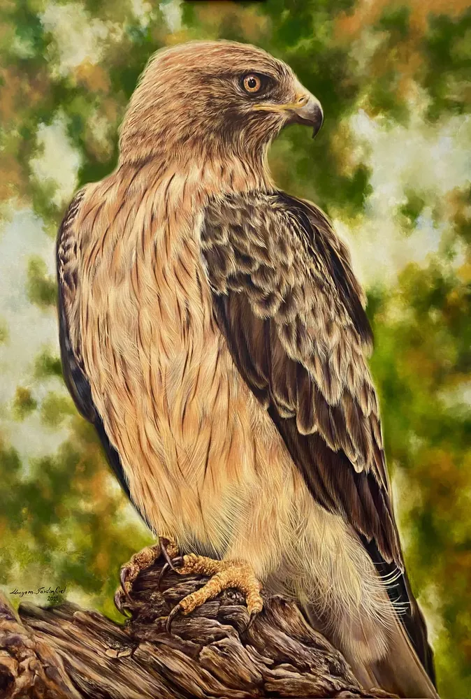Silent Majesty — Birds by Maryam Fardinfard