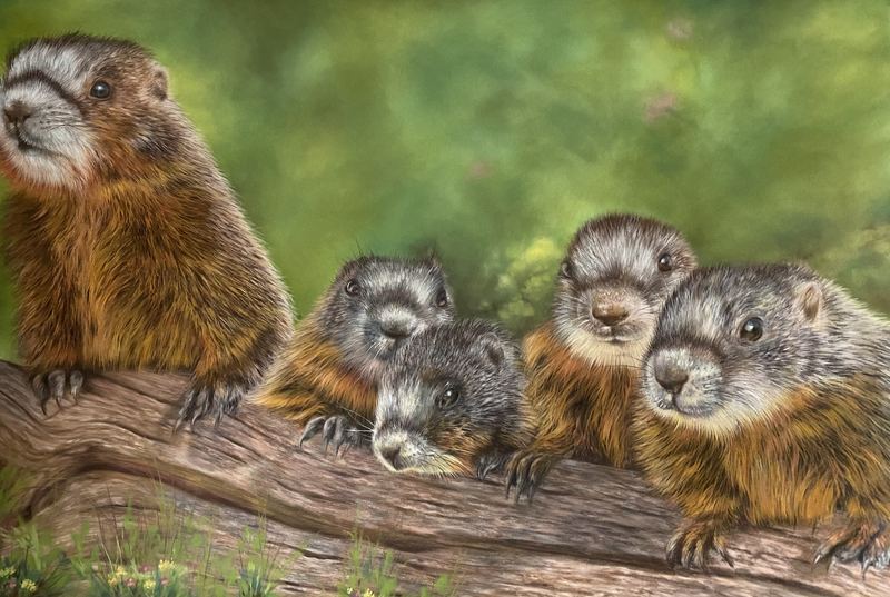 Wildlife — MV-008, pastel and colored pencil by Maryam Fardinfard