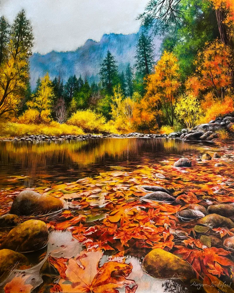 Dance of Leaves and Light — Nature by Maryam Fardinfard