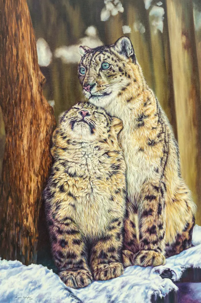 Bond Beyond Words — Wildlife by Maryam Fardinfard