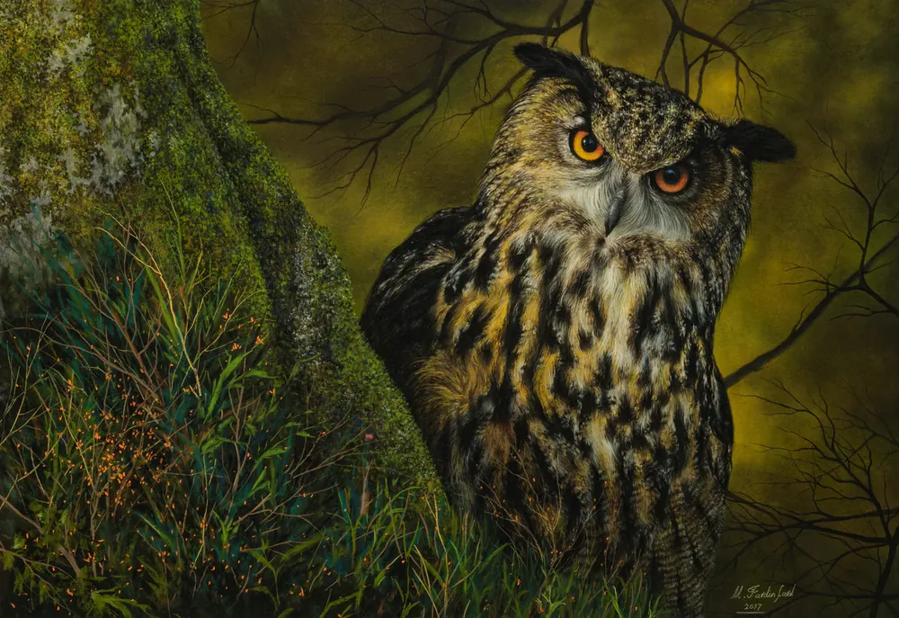 Forest Owl — Birds by Maryam Fardinfard