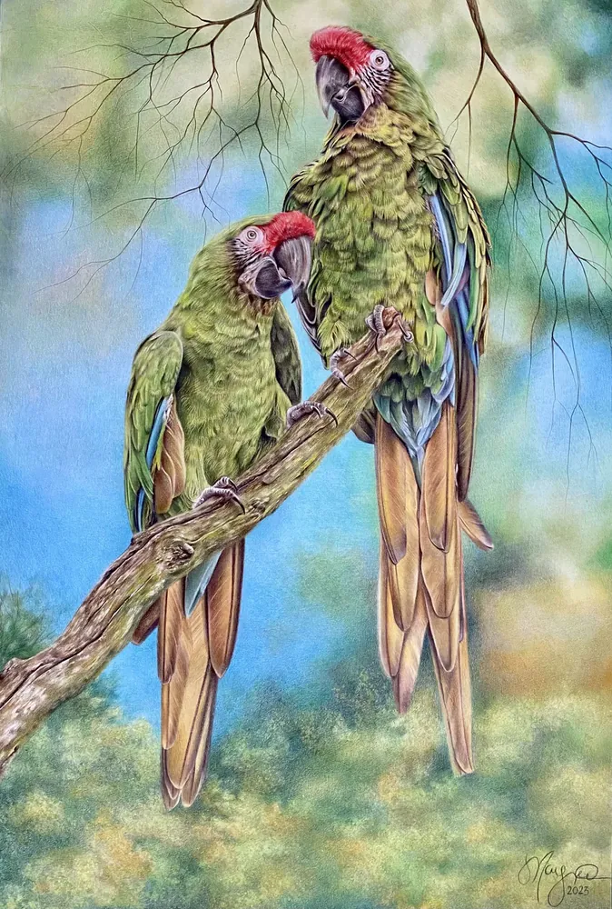 Companions — Birds by Maryam Fardinfard