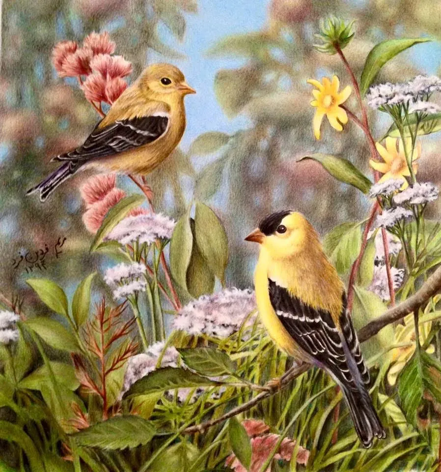 Untitled — details coming soon — Birds by Maryam Fardinfard