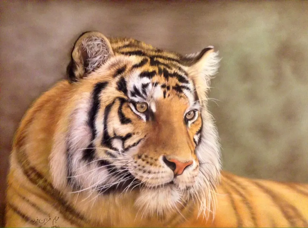 Gaze of the Wild — Wildlife by Maryam Fardinfard