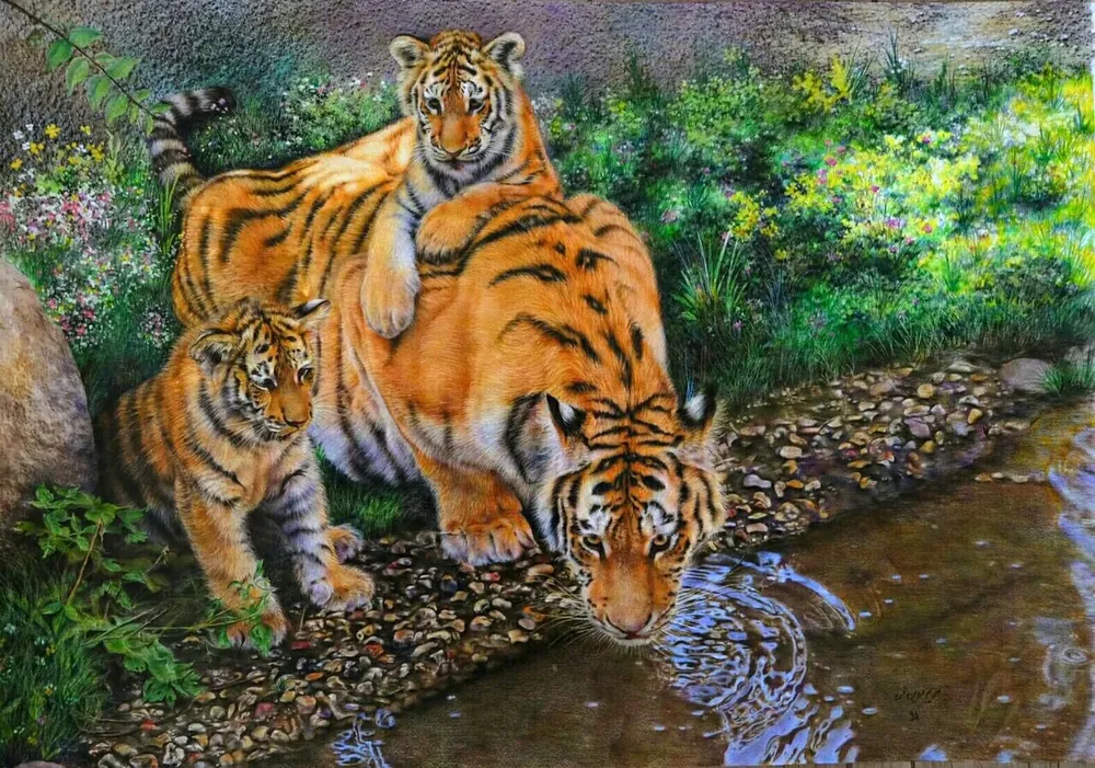 Instinct in Stillness — Wildlife by Maryam Fardinfard