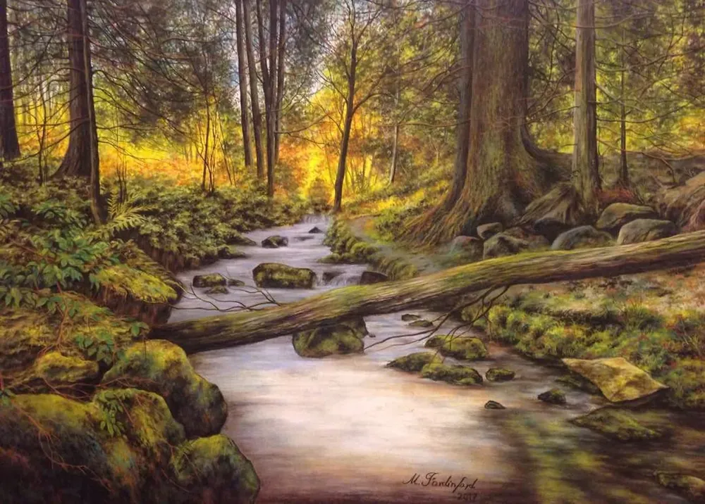 Forest Stream — Nature by Maryam Fardinfard