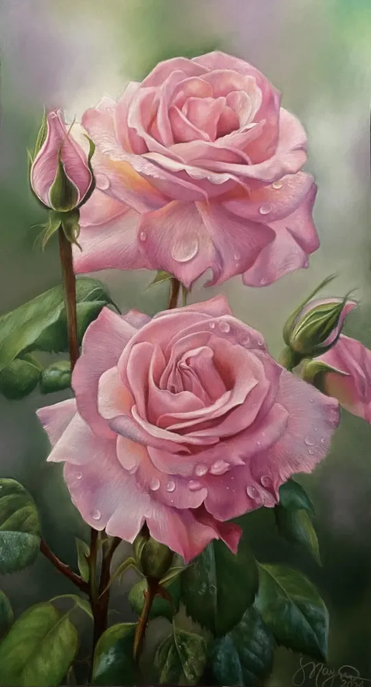 Rose Elegance — Still Life by Maryam Fardinfard